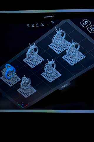 Custom Engagement Ring 3D Print